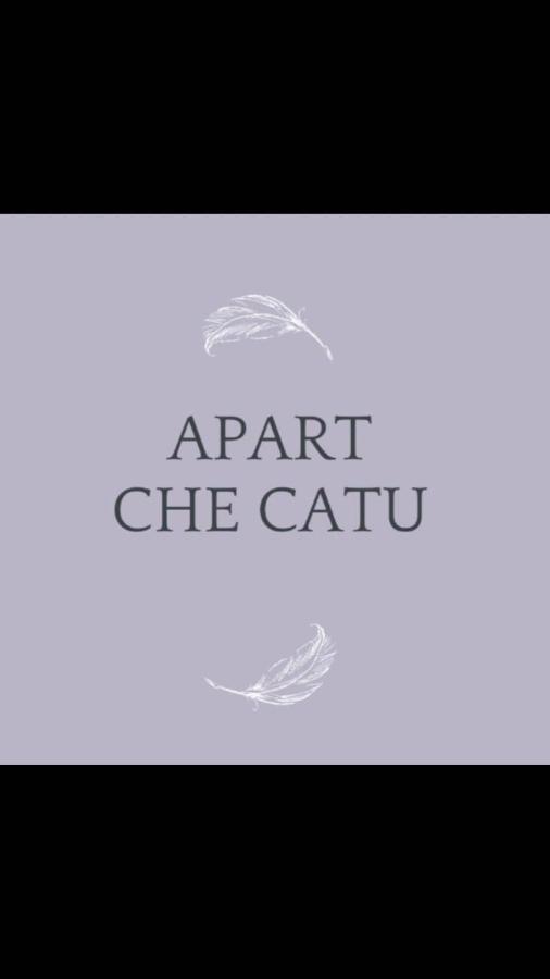 Checatu Irupe